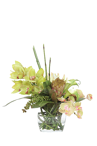 花艺软装北欧绿植插花花卉盆栽PNG素材