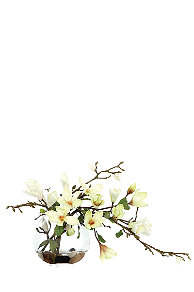 花艺软装北欧绿植插花花卉盆栽PNG素材