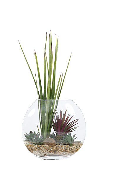 花艺软装北欧绿植插花花卉盆栽PNG素材