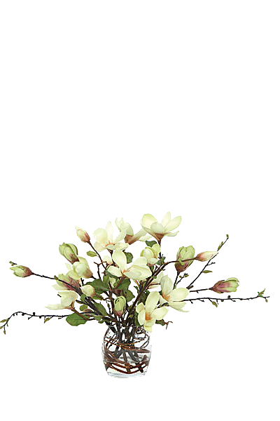 花艺软装北欧绿植插花花卉盆栽PNG素材