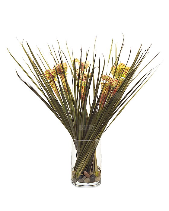 花艺软装北欧绿植插花花卉盆栽PNG