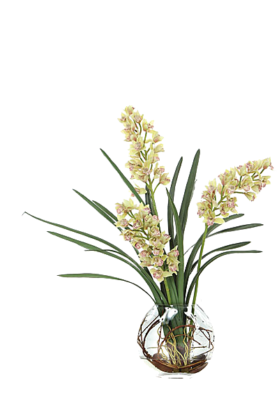 花艺软装北欧绿植插花花卉盆栽PNG
