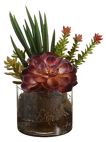花艺软装北欧绿植插花花卉盆栽PNG