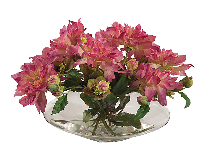 花艺软装北欧绿植插花花卉盆栽PNG