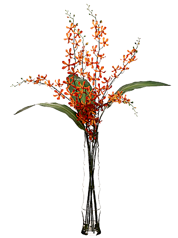 花艺软装北欧绿植插花花卉盆栽PNG素材