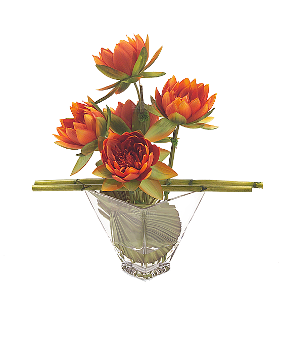 花艺软装北欧绿植插花花卉盆栽PNG素材