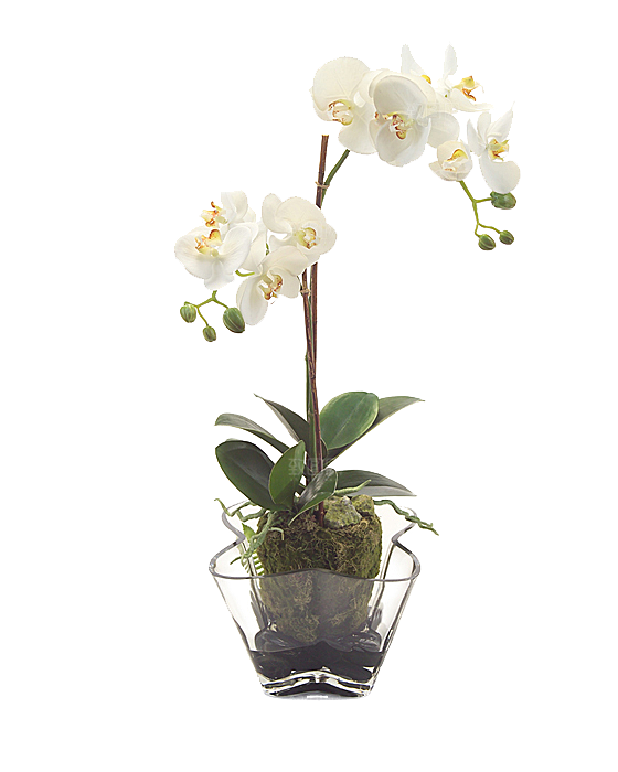 花艺软装北欧绿植插花花卉盆栽PNG素材