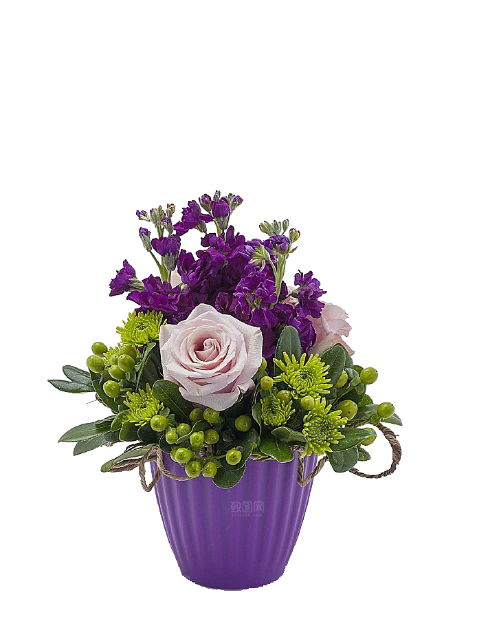 花艺软装北欧绿植插花花卉盆栽PNG