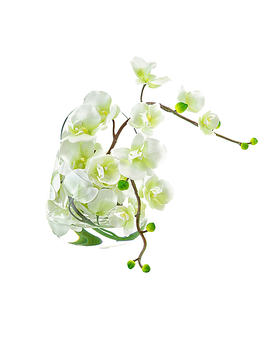 花艺软装北欧绿植插花花卉盆栽PNG