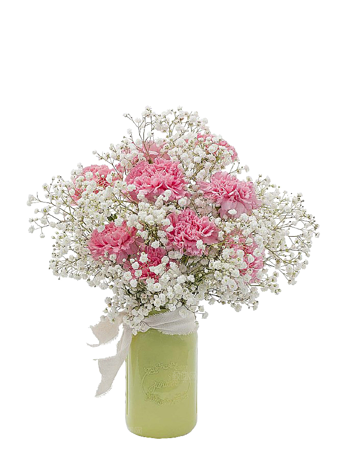 花艺软装北欧绿植插花花卉盆栽PNG