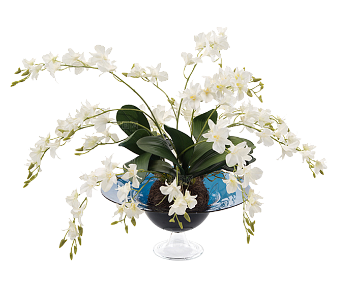 花艺软装北欧绿植插花花卉盆栽PNG