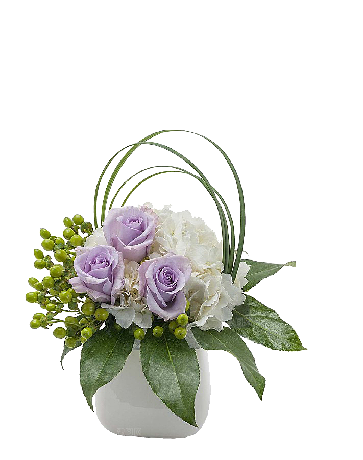 花艺软装北欧绿植插花花卉盆栽PNG