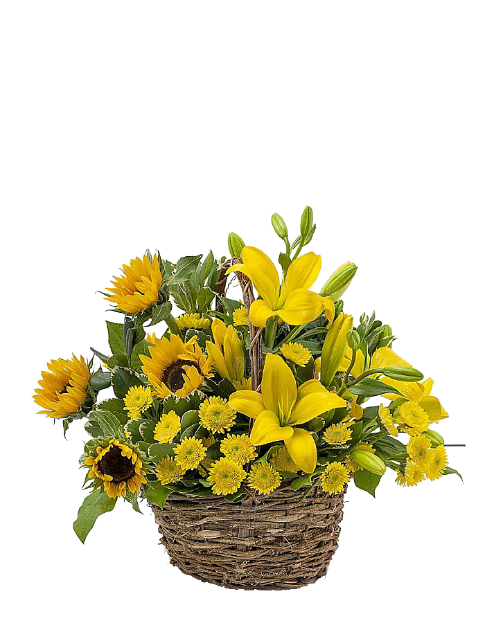 花艺软装北欧绿植插花花卉盆栽PNG