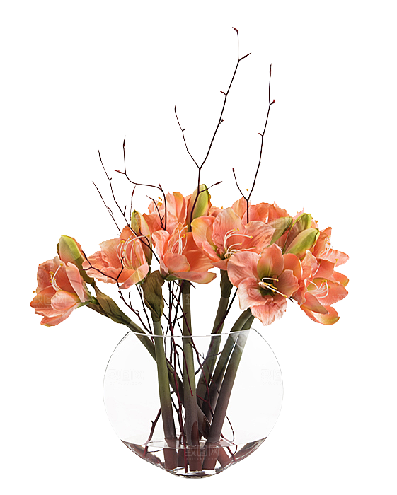 花艺软装北欧绿植插花花卉盆栽PNG