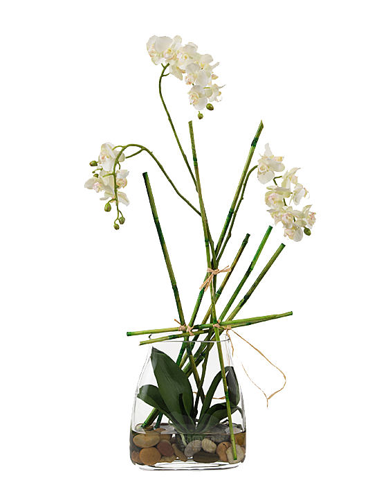花艺软装北欧绿植插花花卉盆栽PNG素材