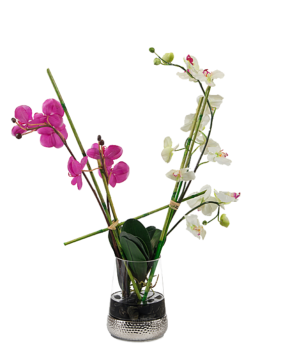 花艺软装北欧绿植插花花卉盆栽PNG素材