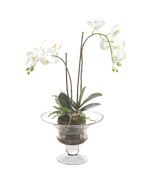 花艺软装北欧绿植插花花卉盆栽PNG素材