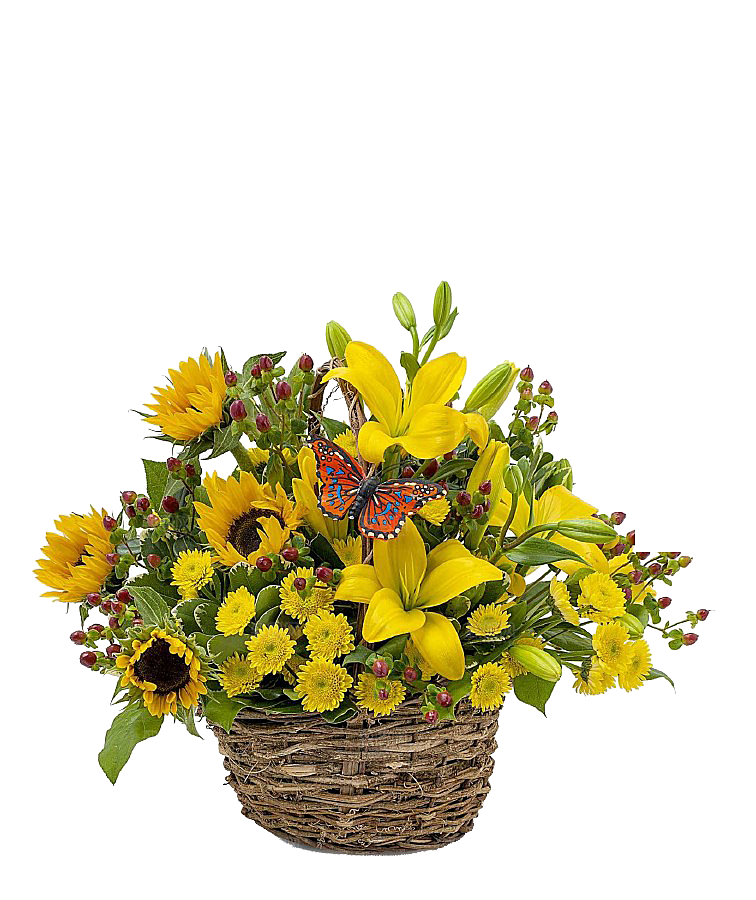 花艺软装北欧绿植插花花卉盆栽PNG素材