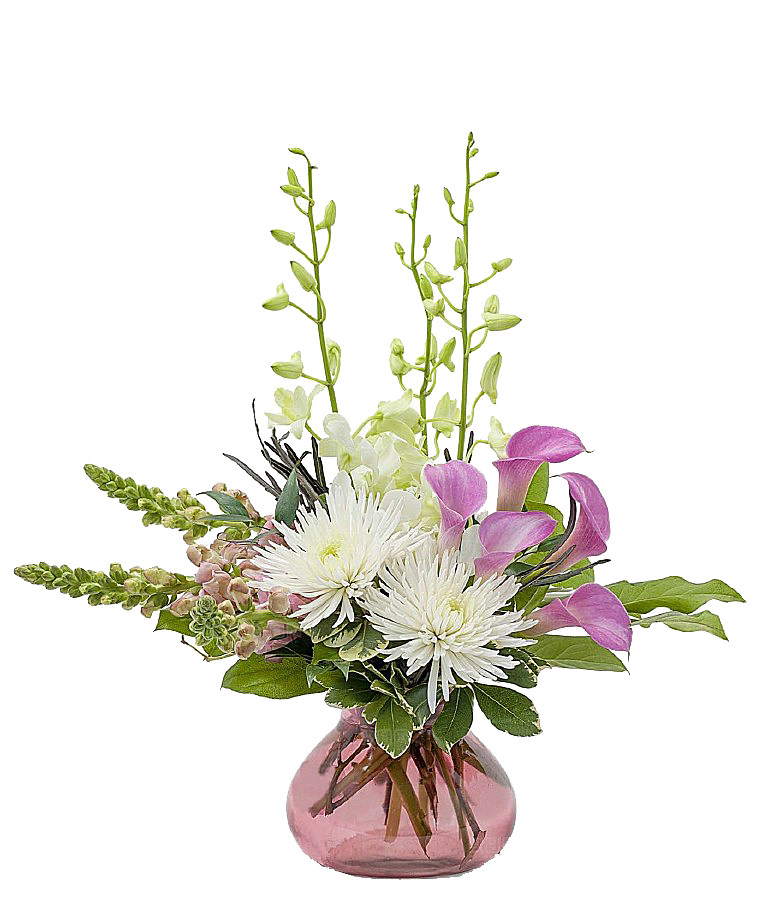 花艺软装北欧绿植插花花卉盆栽PNG