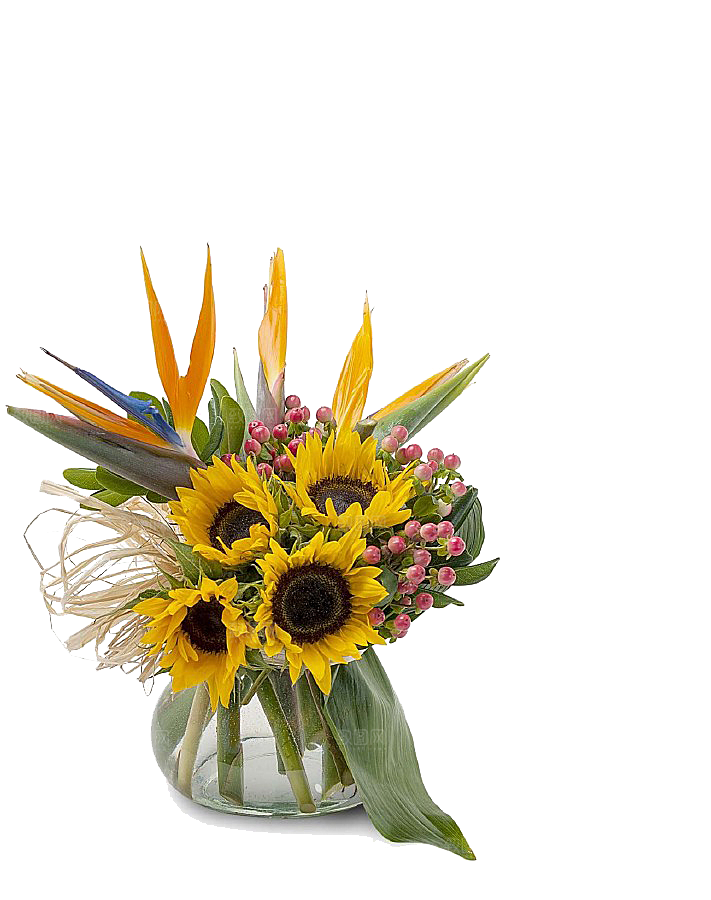 花艺软装北欧绿植插花花卉盆栽PNG