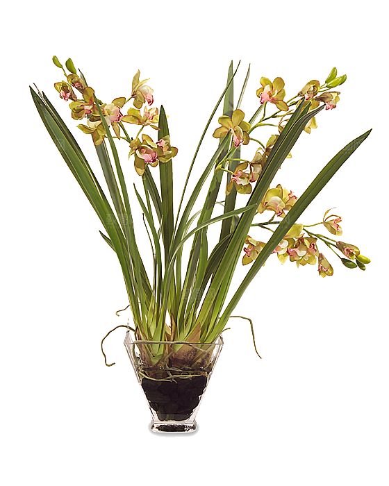 花艺软装北欧绿植插花花卉盆栽PNG
