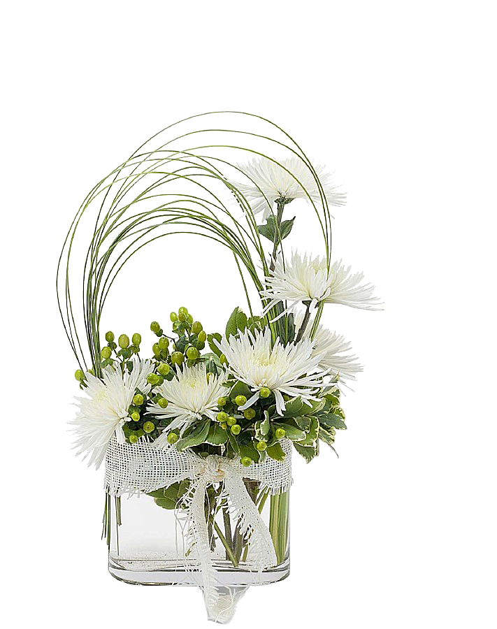花艺软装北欧绿植插花花卉盆栽PNG