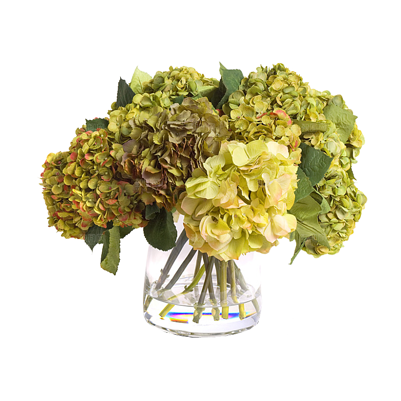 花艺软装北欧绿植插花花卉盆栽PNG素材