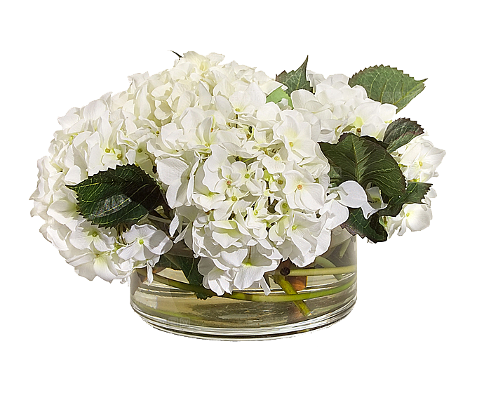 花艺软装北欧绿植插花花卉盆栽PNG