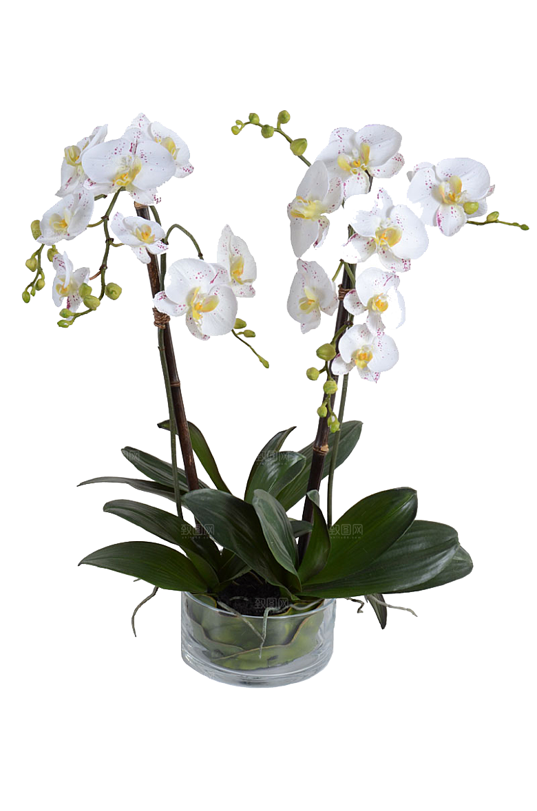 花艺软装北欧绿植插花花卉盆栽PNG