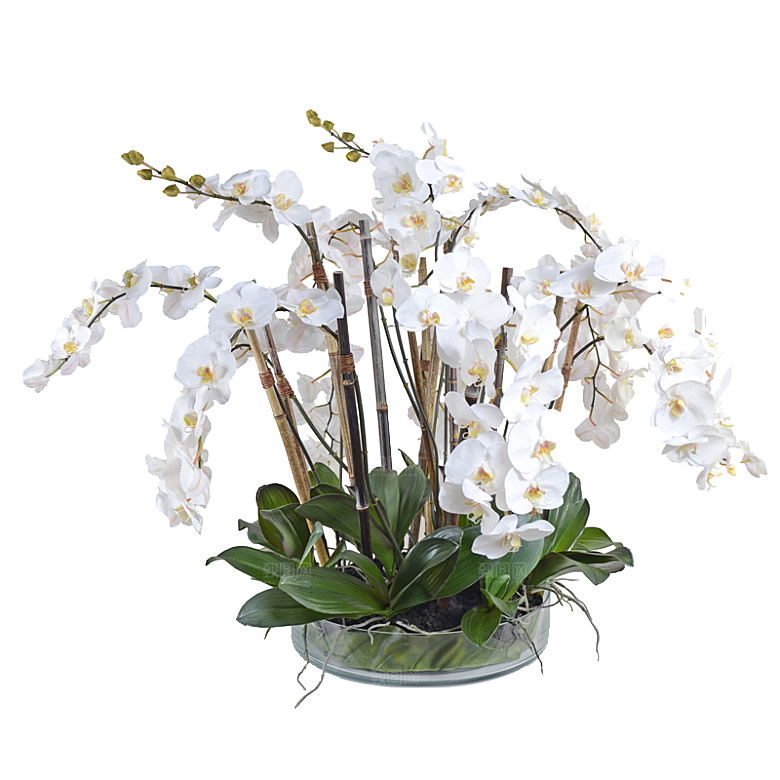 花艺软装北欧绿植插花花卉盆栽PNG