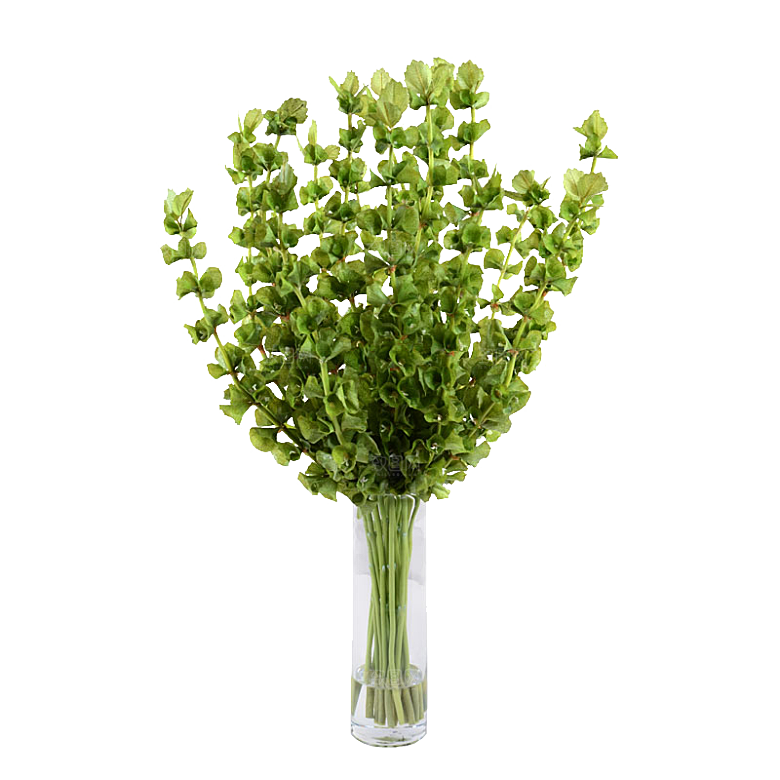 花艺软装北欧绿植插花花卉盆栽PNG