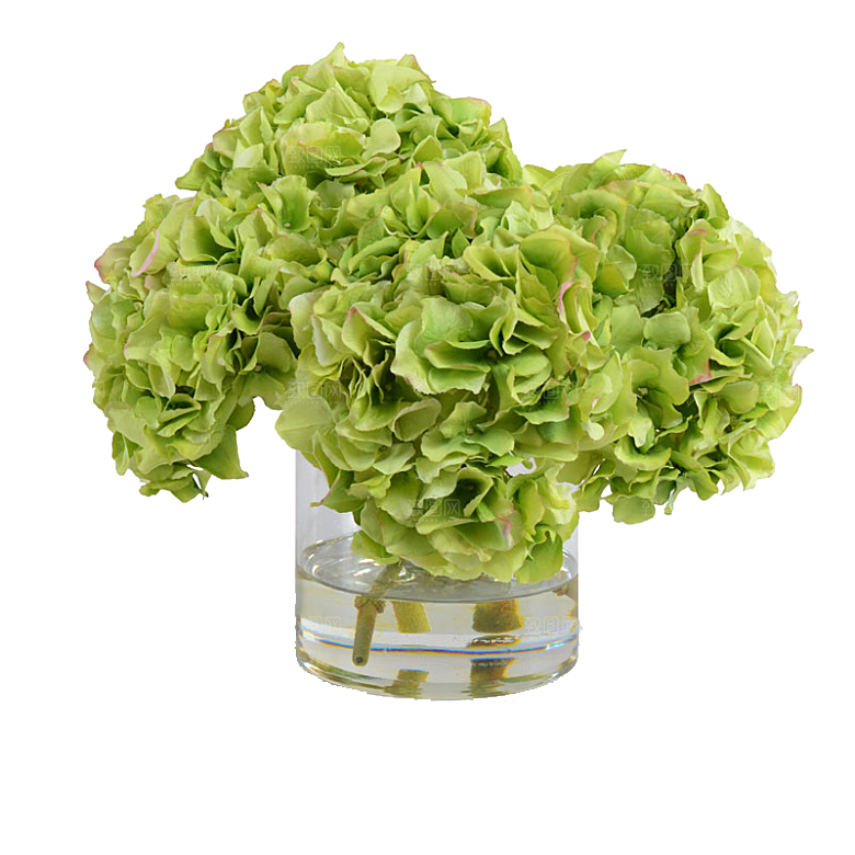 花艺软装北欧绿植插花花卉盆栽PNG