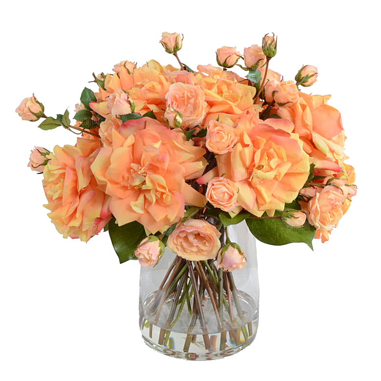 花艺软装北欧绿植插花花卉盆栽PNG