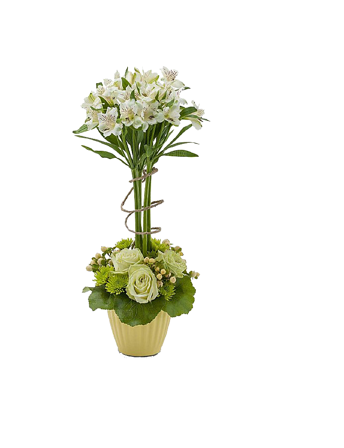 花艺软装北欧绿植插花花卉盆栽PNG
