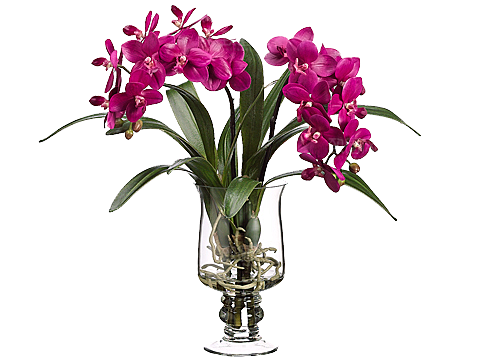 花艺软装北欧绿植插花花卉盆栽PNG