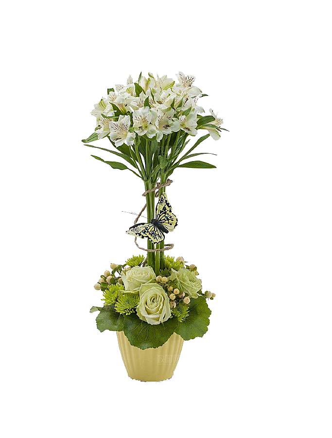 花艺软装北欧绿植插花花卉盆栽PNG
