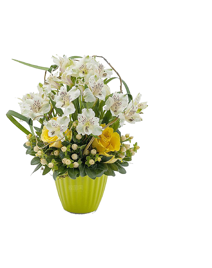 花艺软装北欧绿植插花花卉盆栽PNG