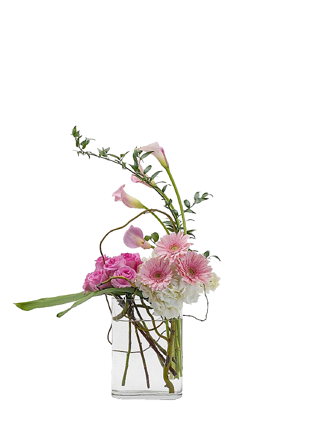花艺软装北欧绿植插花花卉盆栽PNG