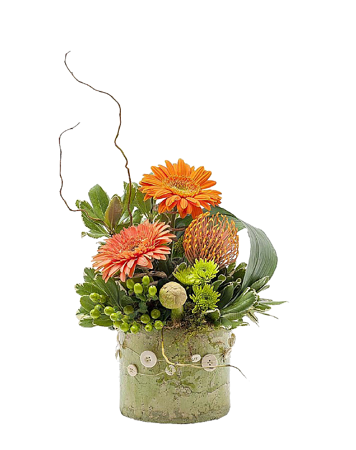 花艺软装北欧绿植插花花卉盆栽PNG