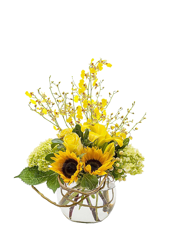 花艺软装北欧绿植插花花卉盆栽PNG