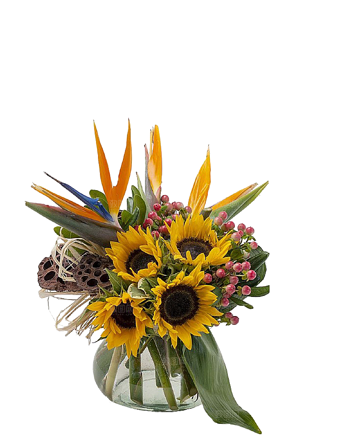 花艺软装北欧绿植插花花卉盆栽PNG
