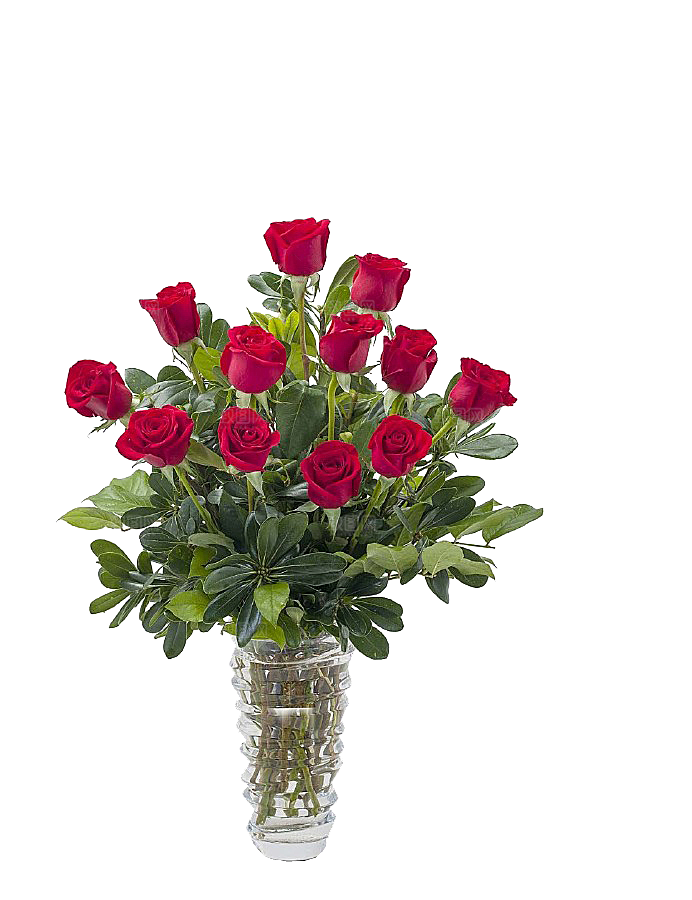 花艺软装北欧绿植插花花卉盆栽PNG