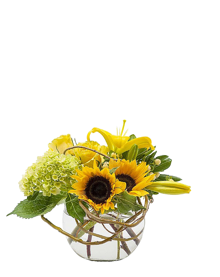 花艺软装北欧绿植插花花卉盆栽PNG