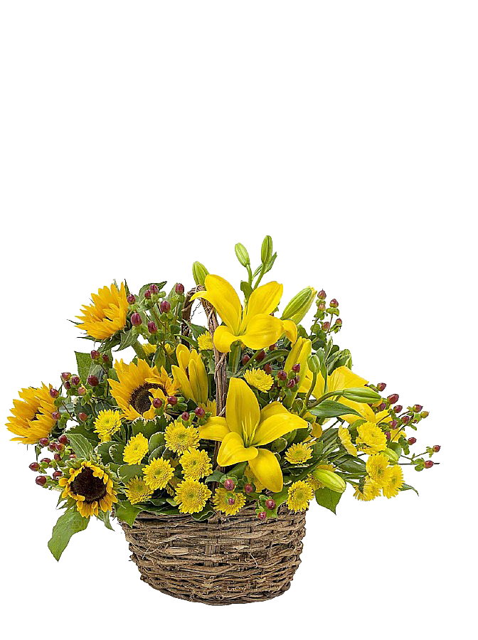 花艺软装北欧绿植插花花卉盆栽PNG素材