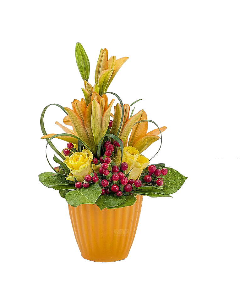 花艺软装北欧绿植插花花卉盆栽PNG素材