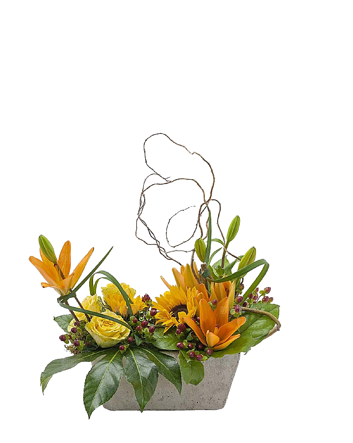 花艺软装北欧绿植插花花卉盆栽PNG素材