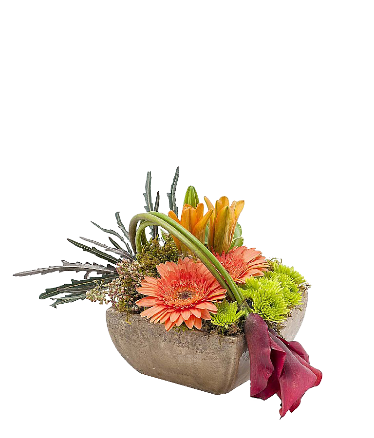 花艺软装北欧绿植插花花卉盆栽PNG素材