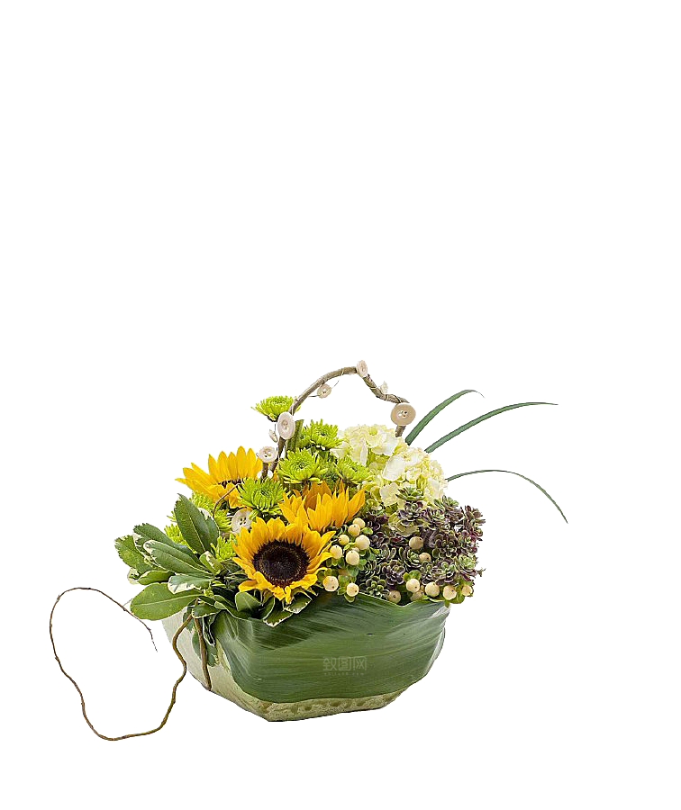 花艺软装北欧绿植插花花卉盆栽PNG素材