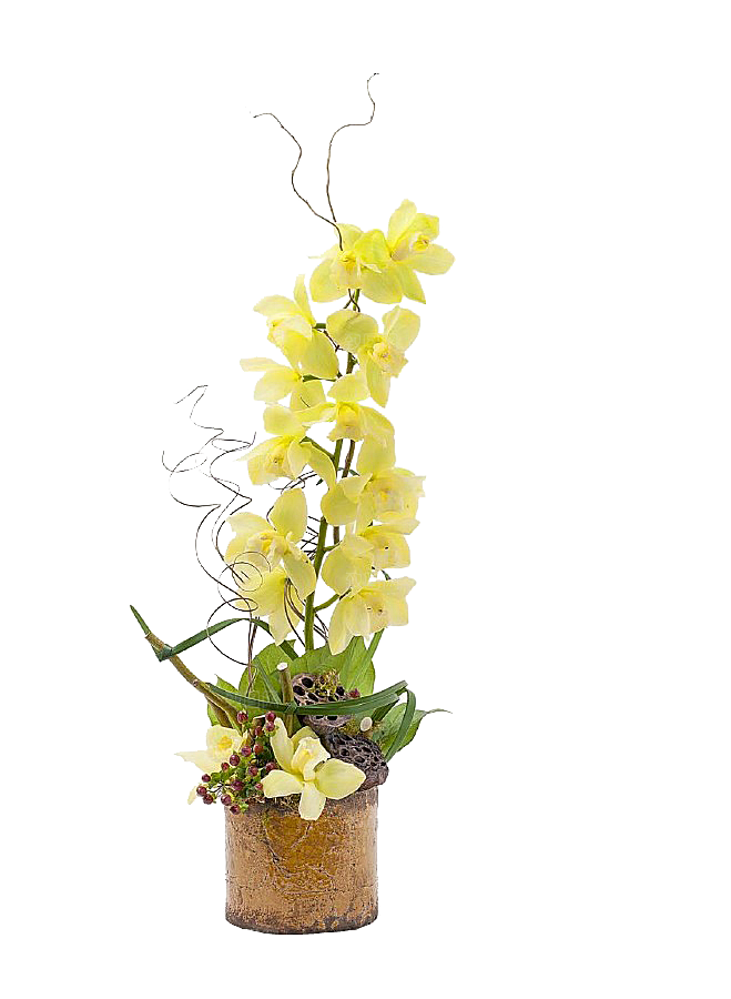 花艺软装北欧绿植插花花卉盆栽PNG素材