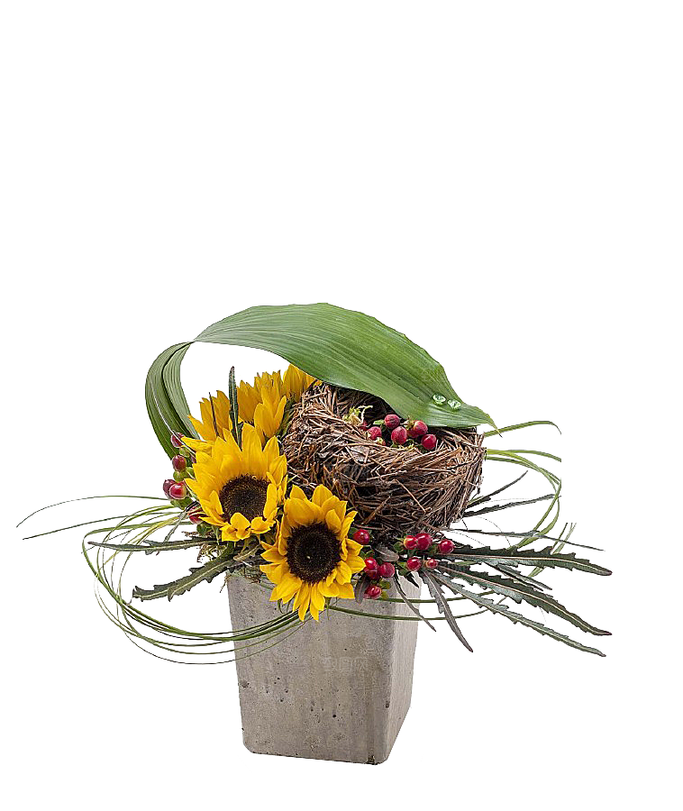花艺软装北欧绿植插花花卉盆栽PNG素材